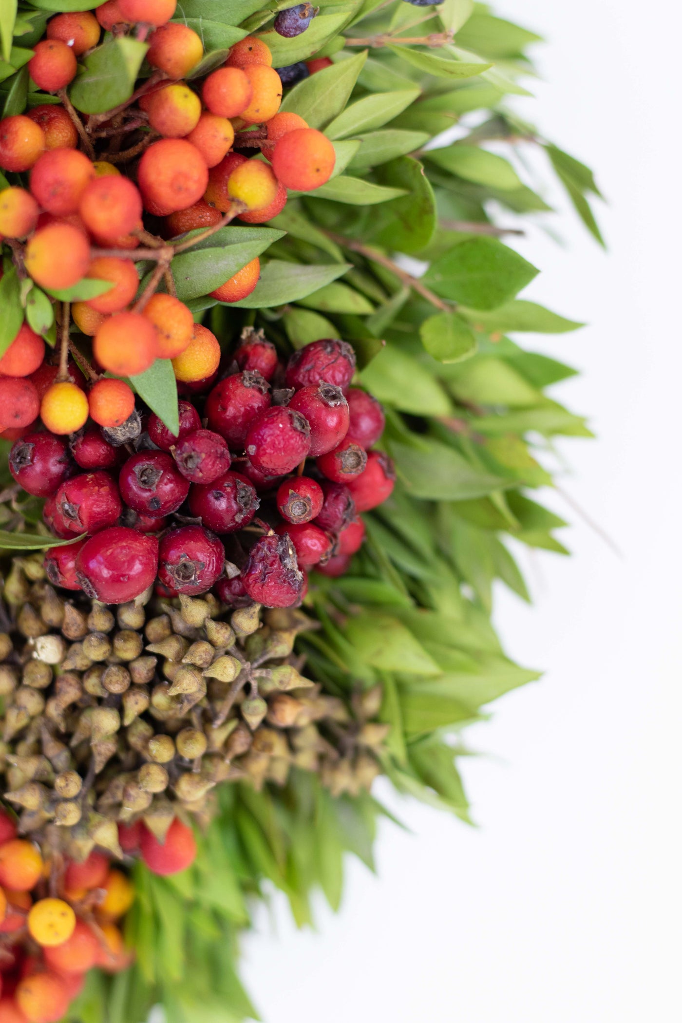 AUTUMN FRUITS