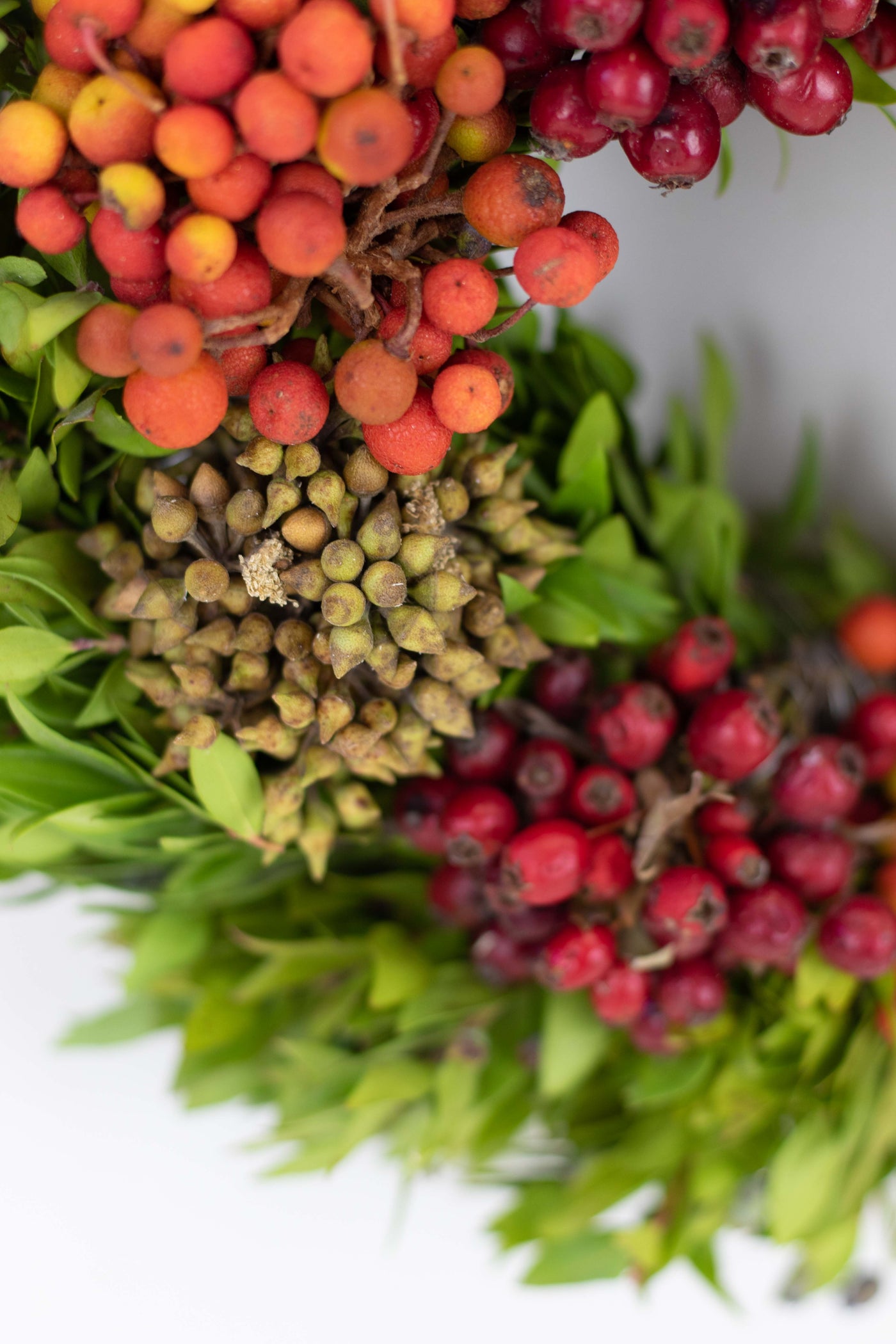 AUTUMN FRUITS