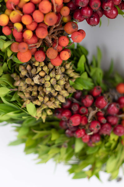 AUTUMN FRUITS